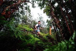 BIB: 
                            <button type="button" onclick="openModal(26203617)" class="btn btn-primary btn-sm float-right btn-popup" data-toggle="modal" data-target=".modal-high-quality">
                        <i class="fas fa-shopping-cart"></i> Add to Cart
                    </button>
                                            <button type="button" onclick="isThisMe(26203617, true)" class="btn btn-success btn-sm float-right btn-popup btn-isme hidden" data-toggle="tooltip" data-placement="bottom" title="นี่คือรูปของคุณใช่ไหม คลิกที่นี่เพื่อเอาเข้าอัลบั้ม">
                        <i class="fas fa-plus"></i> Add to album
                    </button>
                    <button type="button" onclick="isThisMe(26203617, false)" class="btn btn-warning btn-sm float-right btn-popup btn-isnotme hidden">
                        <i class="fas fa-ban"></i> Remove from album
                    </button>